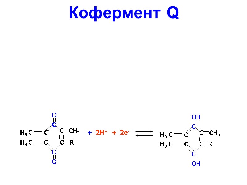 Кофермент Q     С С С С С С О O